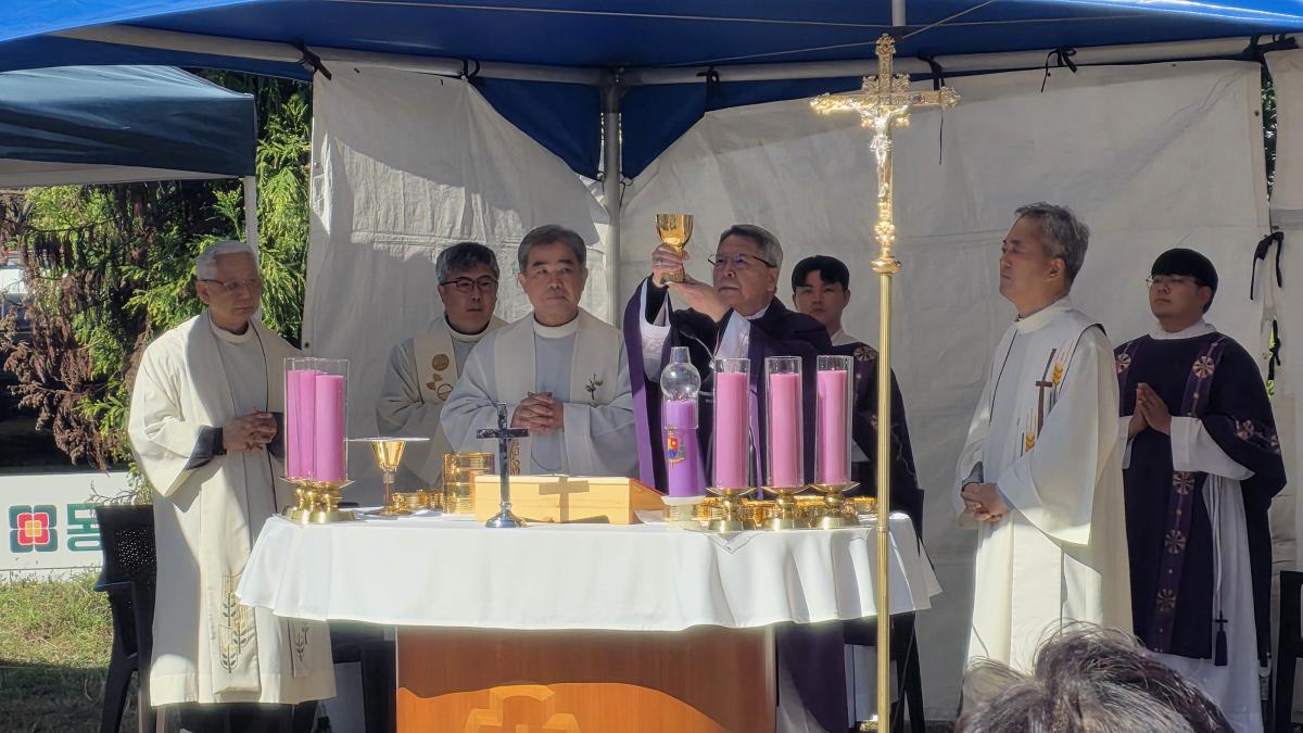 위령의날 고성이화공원묘원 20251103 (2).jpg